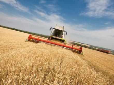 В Татарстане стартует программа по модернизации сельхозтехники | firmadvoe.ru